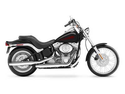 2006 Harley-Davidson Softail® Standard 9