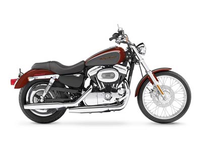 2006 Harley-Davidson Sportster® 1200 Custom in Loveland, Colorado - Photo 8