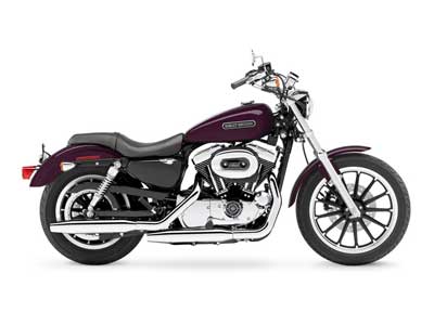 2006 Harley-Davidson Sportster® 1200 Low in The Dalles, Oregon - Photo 16