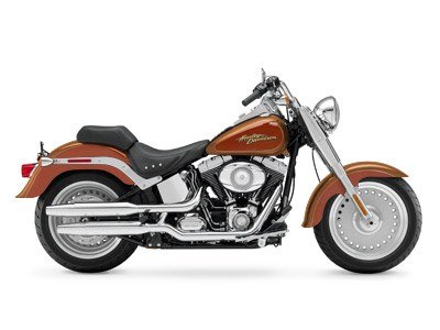 2008 Harley-Davidson Softail® Fat Boy® in Rochester, New York