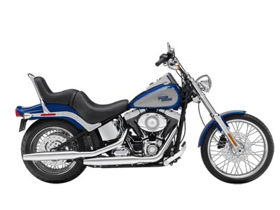 2009 Harley-Davidson Softail® Custom in Marietta, Ohio - Photo 10