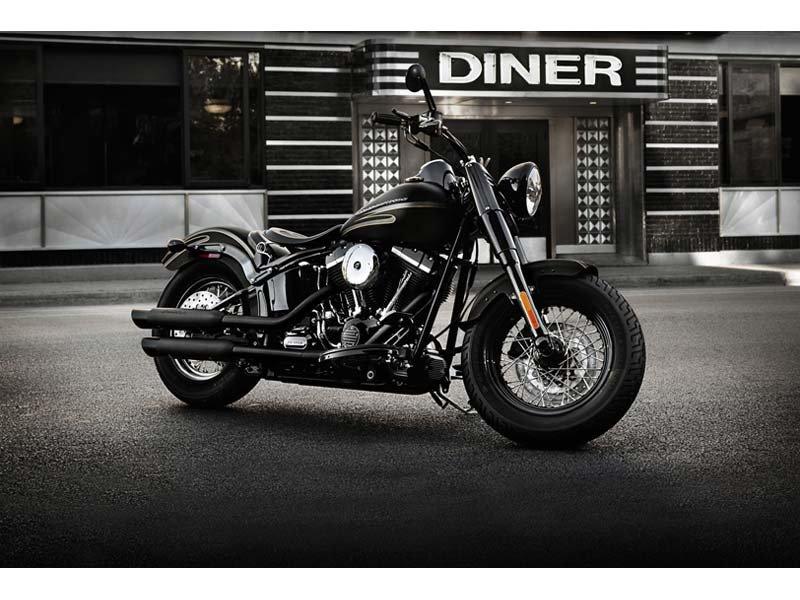 2012 Harley-Davidson Softail® Slim™ in Omaha, Nebraska - Photo 8
