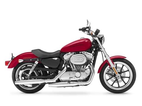 Harley sportster 883 low on sale