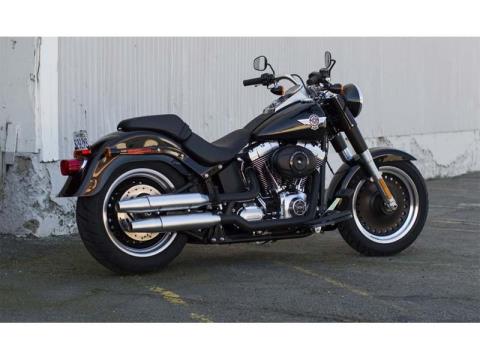 2013 Harley-Davidson Softail® Fat Boy® Lo in West End, North Carolina - Photo 3