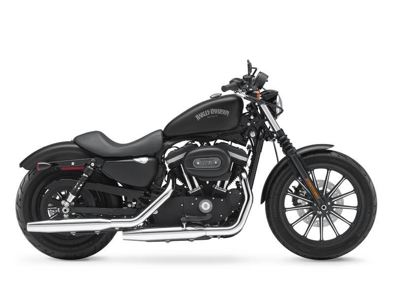 2013 Harley-Davidson Sportster® Iron 883™ in Loveland, Colorado - Photo 1