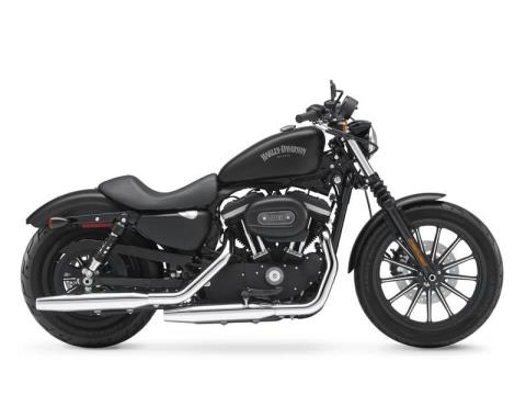 2013 Harley-Davidson Sportster® Iron 883™ in Loveland, Colorado - Photo 1