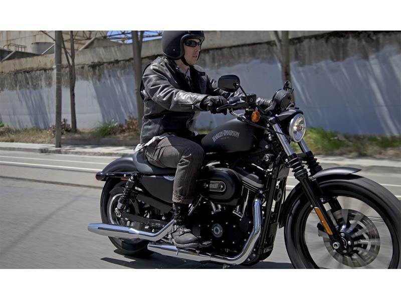 2013 Harley-Davidson Sportster® Iron 883™ in Loveland, Colorado - Photo 9