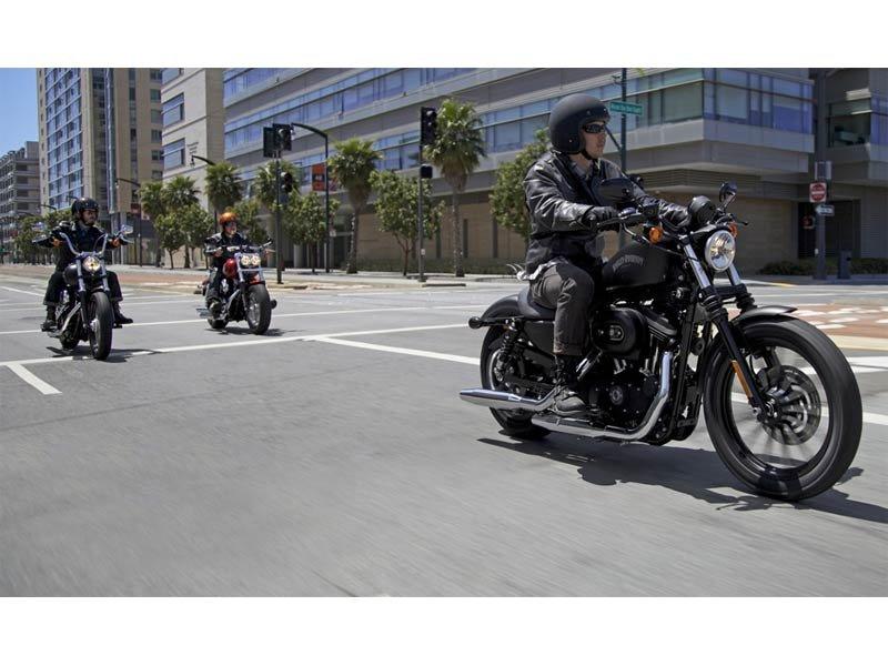 2013 Harley-Davidson Sportster® Iron 883™ in Loveland, Colorado - Photo 6