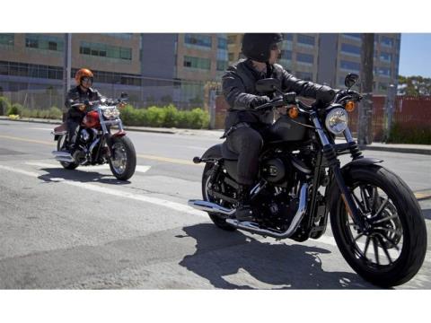 2013 Harley-Davidson Sportster® Iron 883™ in Loveland, Colorado - Photo 8
