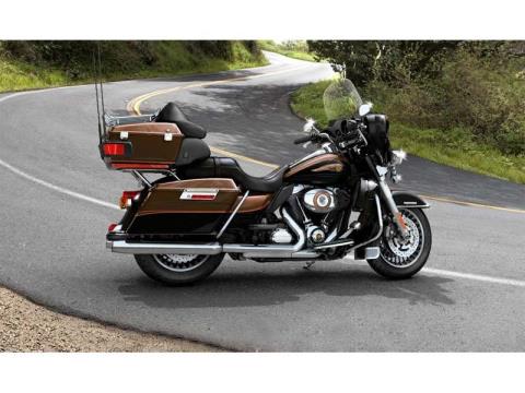 2013 Harley-Davidson Electra Glide® Ultra Limited 110th Anniversary Edition in Columbia, Missouri - Photo 2