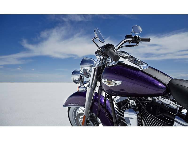 2014 Harley-Davidson Softail® Deluxe in Columbia, Missouri - Photo 5