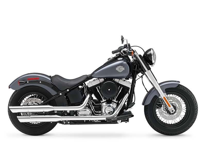 2014 Harley-Davidson Softail Slim® 1