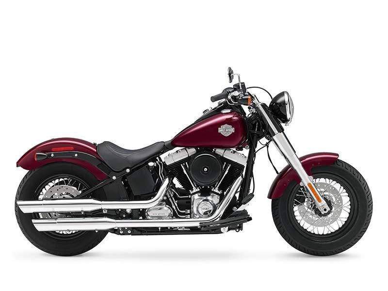 2014 Harley-Davidson Softail Slim® in Eugene, Oregon - Photo 1