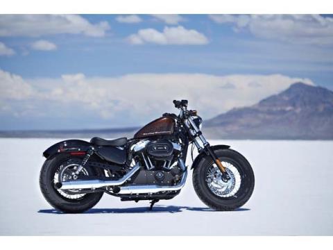 2014 Harley-Davidson Sportster® Forty-Eight® in Scott, Louisiana - Photo 7