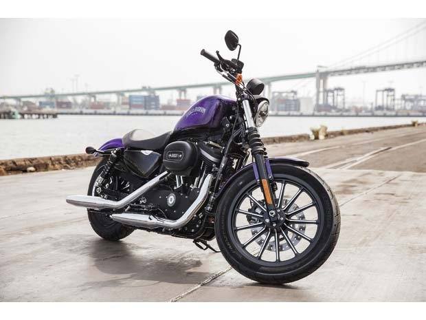 2014 Harley-Davidson Sportster® Iron 883™ in Marietta, Ohio - Photo 13