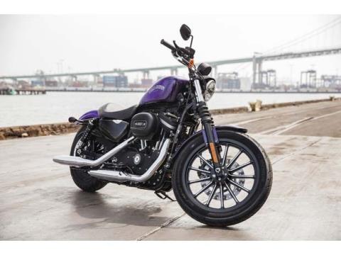 2014 Harley-Davidson Sportster® Iron 883™ in Marietta, Ohio - Photo 13