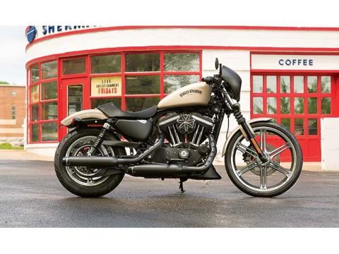 2014 Harley-Davidson Sportster® Iron 883™ in Marietta, Ohio - Photo 12