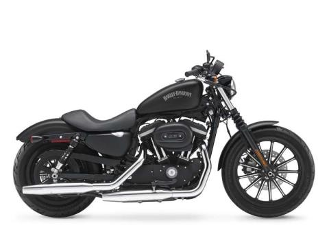 2014 Harley-Davidson Sportster® Iron 883™ in Marietta, Ohio - Photo 9
