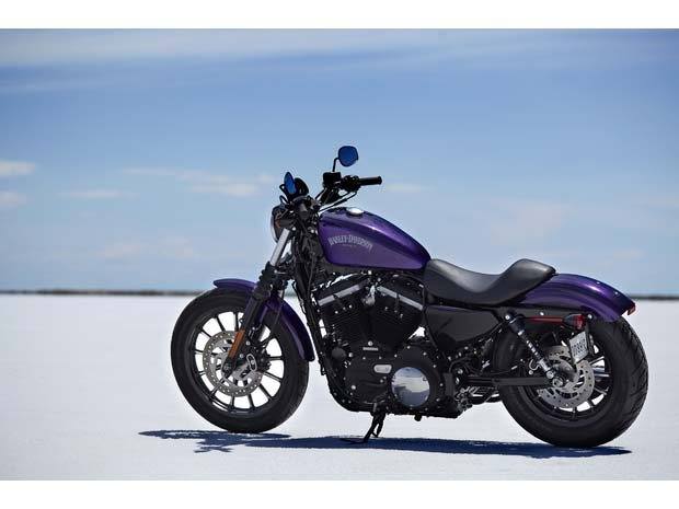 2014 Harley-Davidson Sportster® Iron 883™ in Marietta, Ohio - Photo 18