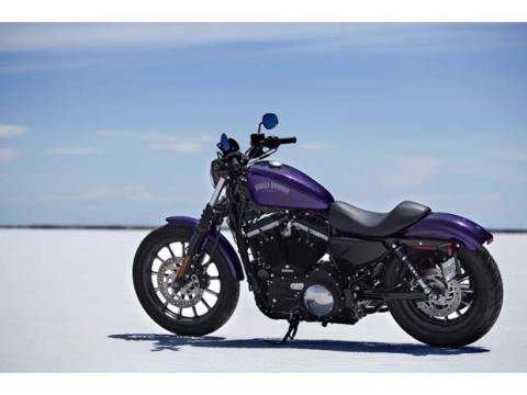 2014 Harley-Davidson Sportster® Iron 883™ in Marietta, Ohio - Photo 18