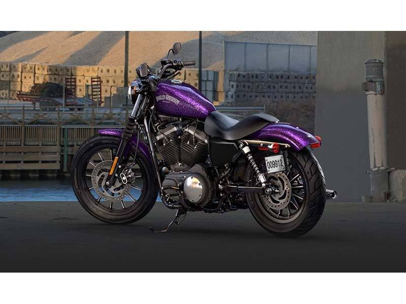 2014 Harley-Davidson Sportster® Iron 883™ in Marietta, Ohio - Photo 11