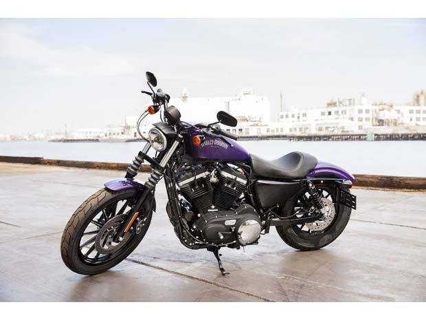 2014 Harley-Davidson Sportster® Iron 883™ in Marietta, Ohio - Photo 14