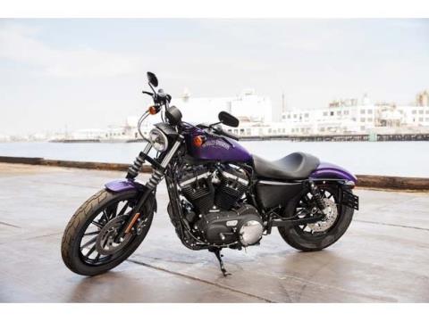 2014 Harley-Davidson Sportster® Iron 883™ in Marietta, Ohio - Photo 14