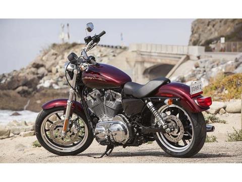 2014 Harley-Davidson Sportster® SuperLow® in Omaha, Nebraska - Photo 5