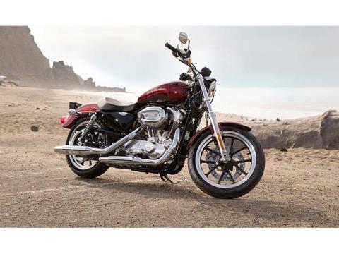 2014 Harley-Davidson Sportster® SuperLow® in Omaha, Nebraska - Photo 2