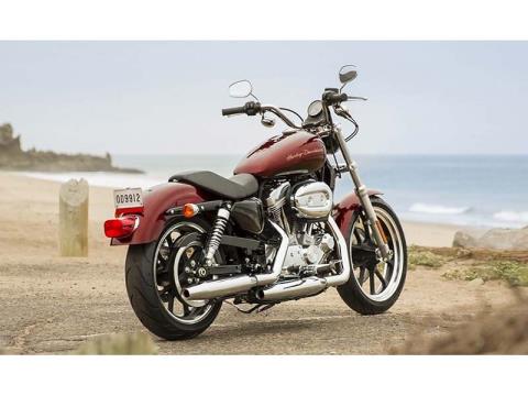 2014 Harley-Davidson Sportster® SuperLow® in Omaha, Nebraska - Photo 8