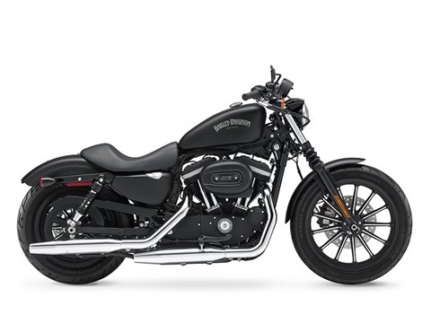 2015 Harley-Davidson Iron 883™ in San Antonio, Texas - Photo 1