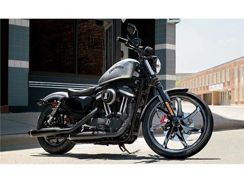 2015 Harley-Davidson Iron 883™ in San Antonio, Texas - Photo 3
