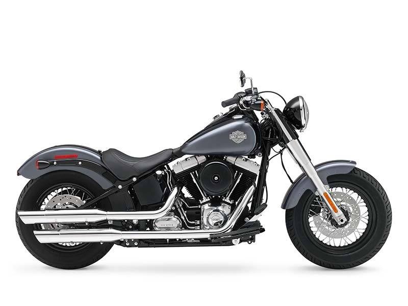2015 Harley-Davidson Softail Slim® 1
