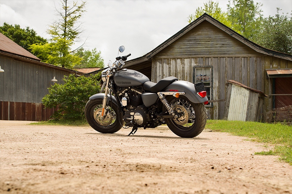 2016 Harley-Davidson 1200 Custom 7