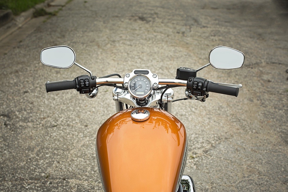 2016 Harley-Davidson 1200 Custom 8