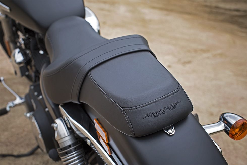 2016 Harley-Davidson 1200 Custom 10