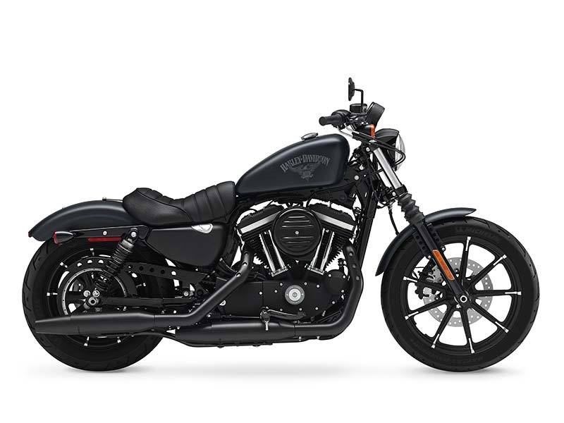 2016 Harley-Davidson Iron 883™ in Temecula, California - Photo 1