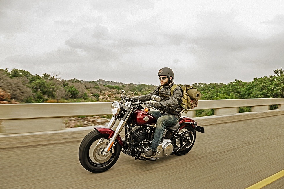 2016 Harley-Davidson Softail Slim® in Greenville, South Carolina - Photo 9