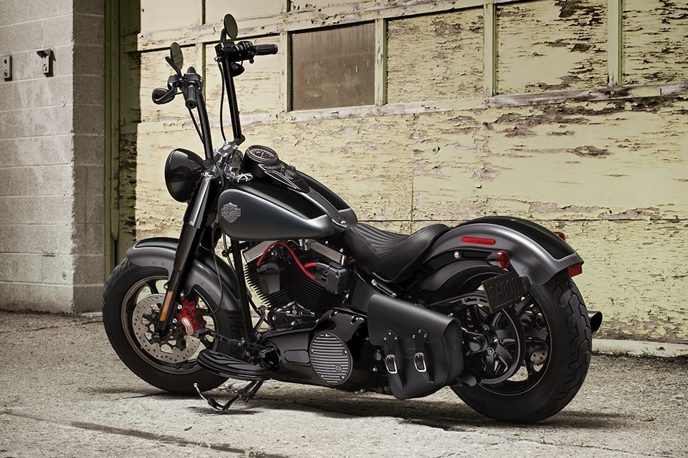 2016 Harley-Davidson Softail Slim® in Greenville, South Carolina - Photo 3