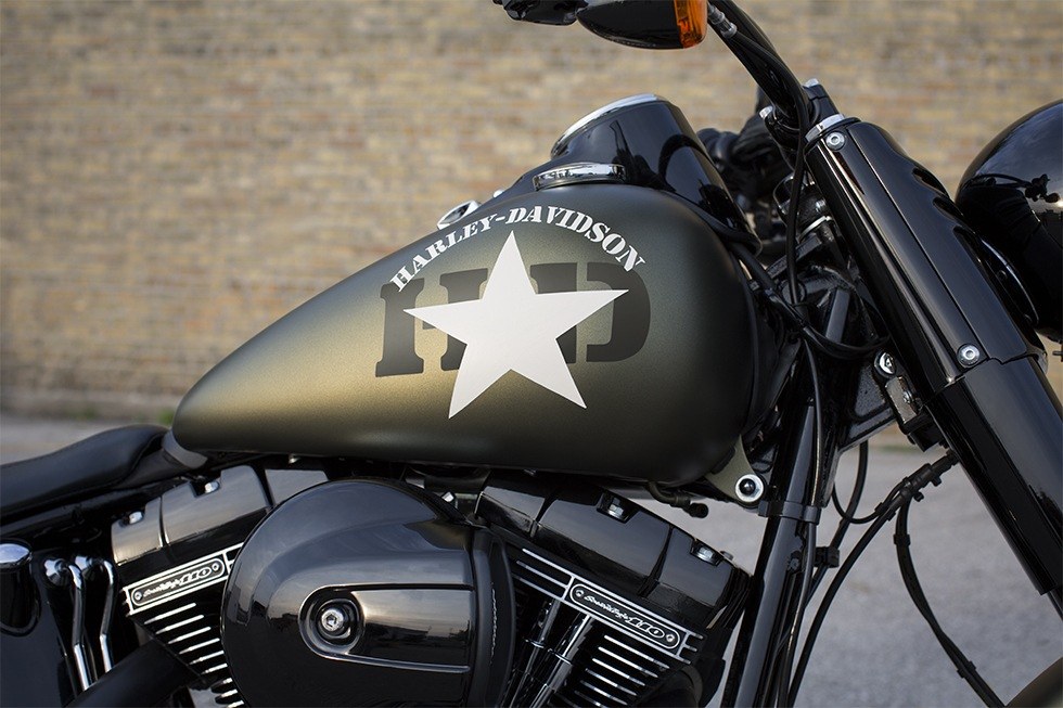 2016 Harley-Davidson Softail Slim® S in Greenville, South Carolina - Photo 8