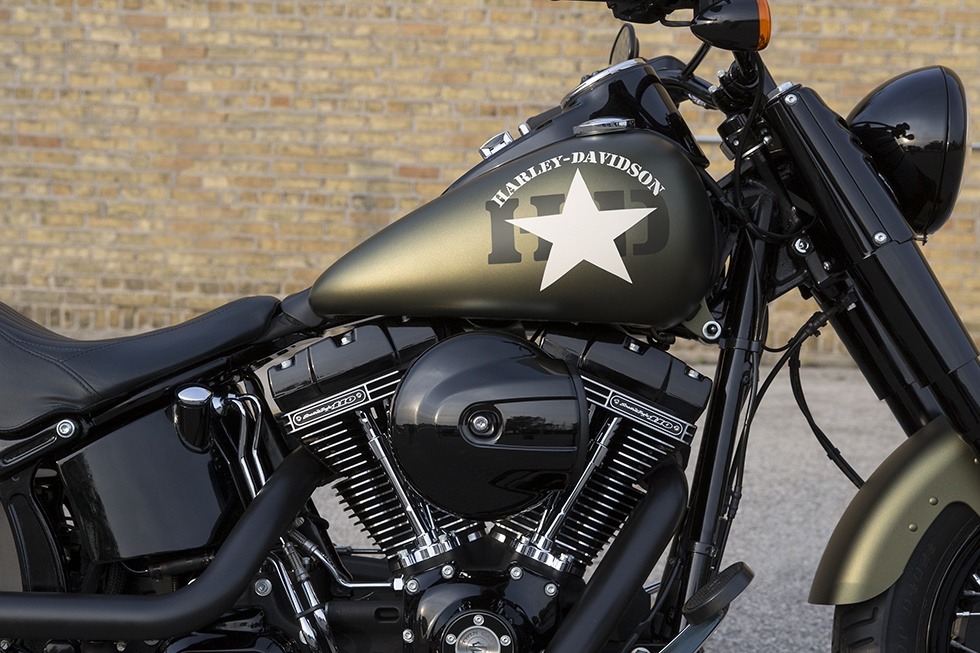 2016 Harley-Davidson Softail Slim® S in Greenville, South Carolina - Photo 10