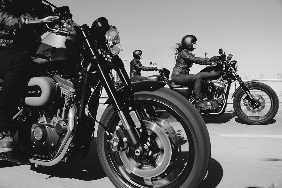 2017 Harley-Davidson Iron 883™ in Omaha, Nebraska - Photo 21