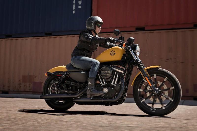 2019 Harley-Davidson Iron 883™ in Scott, Louisiana - Photo 12