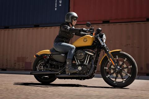 2019 Harley-Davidson Iron 883™ in Scott, Louisiana - Photo 12