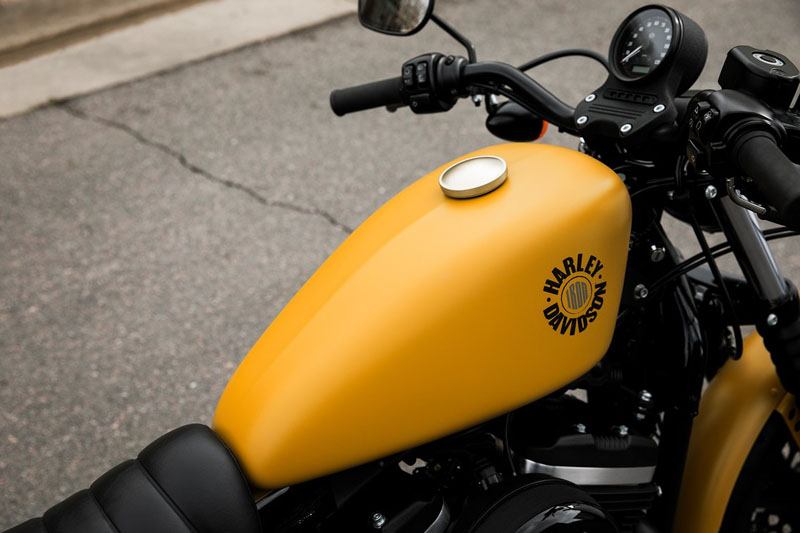 2019 Harley-Davidson Iron 883™ in Scott, Louisiana - Photo 16