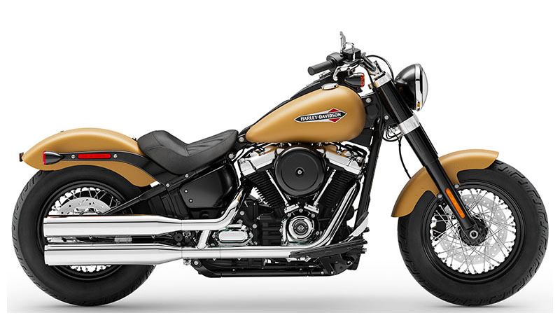 2019 Harley-Davidson Softail Slim® in Scott, Louisiana