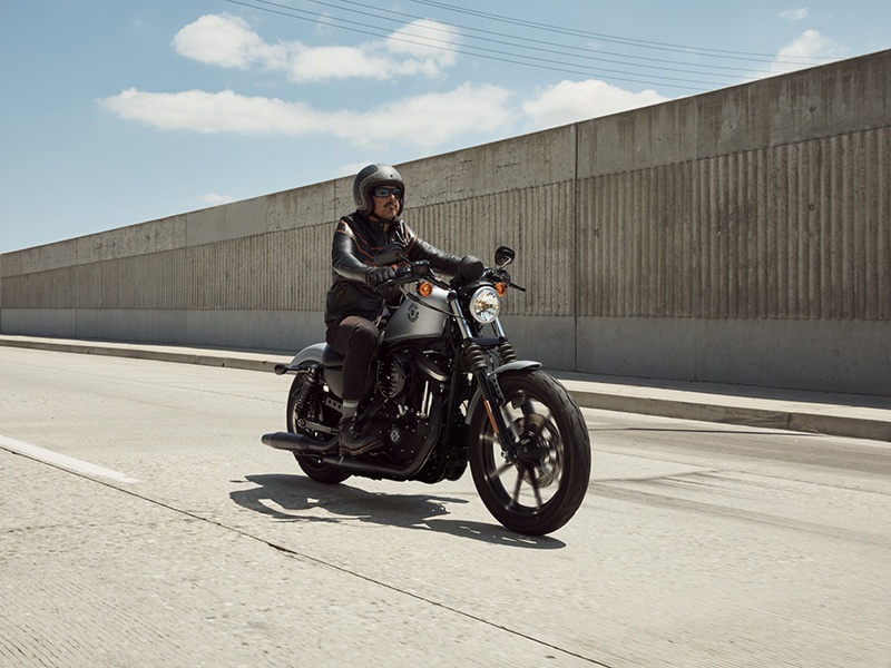 2020 Harley-Davidson Iron 883™ in Pasadena, Texas - Photo 9