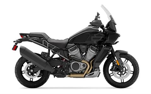 Black harley davidson for sale sale