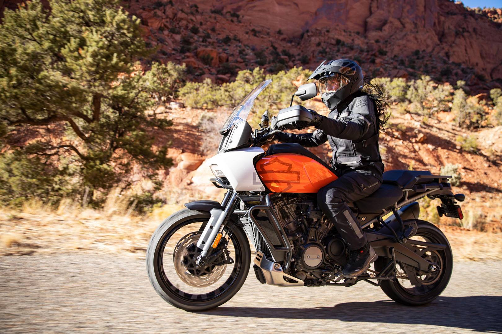 2021 Harley-Davidson Pan America™ Special in Bossier City, Louisiana - Photo 18