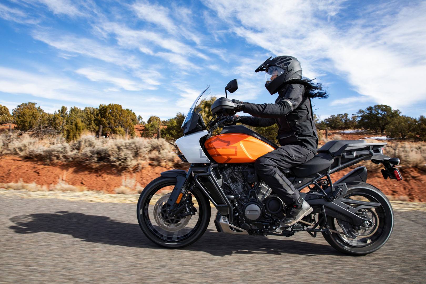 2021 Harley-Davidson Pan America™ Special in Bossier City, Louisiana - Photo 19